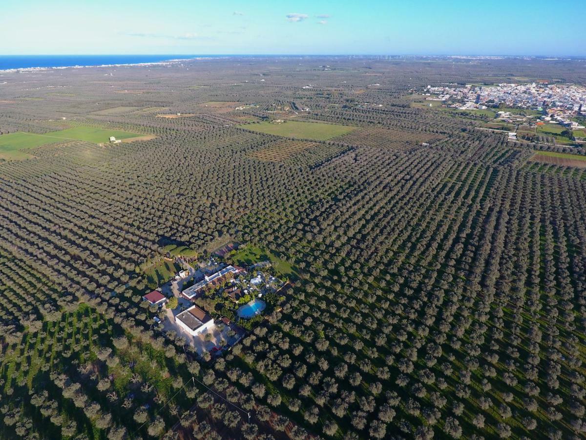 Masseria Pisciani Torchiarolo ภายนอก รูปภาพ